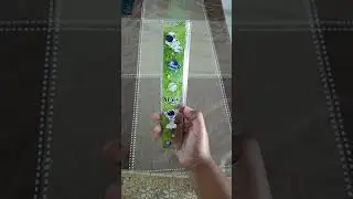 Glittery 20 cm Ruler from D-Mart|#ruler #dmart #stationery#affordable  #kawaii|AestheticBhavya|