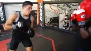 Gadatamen Taylor vs Maximo entrenamiento sección de guanteo