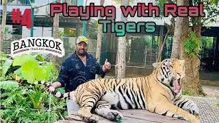 🐅TIGER PARK PATTAYA 2024 🐅|| GUIDE COST & DETAILS || THAILAND VLOG #4 || THINGS TO DO IN PATTAYA