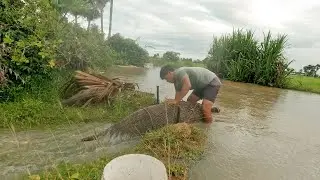 The Simple Living With Happiness Life Of Khmer Farmer Fishing On Heavy Rain Day By Traditional Way