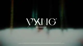 YXNG - Nevindecat (Visualizer)