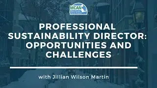 Professional Sustainability Director: Opportunities and Challenges