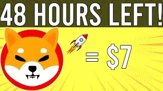 РАСКРЫТО! Цена на сиба-ину взлетит до 7 долларов! &mdash; ОБЪЯСНЕНИЕ &mdash; SHIB NEWS