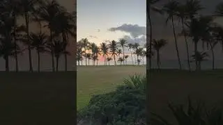 A $225,000,000 view. #wealth #billionaire #beach #realestate