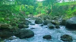 River Sounds for Sleeping Better | Gentle Water Flow White Noise for Relaxation
