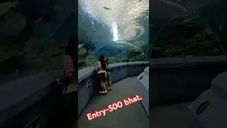 PATTAYA  UNDERWATER WORLD.#tourism #tour #pattaya #fish #thailand #travel #aquarium #animals #water