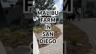 Malibu Farm from Malibu Pier and Tiburon, has opened its doors at #SeaportVillage! #localemagazine
