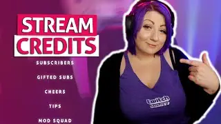 Как добавить титры трансляции на Twitch!