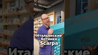 Как переводится название бренда Scarpa?
