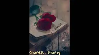 OneMB - Pocity (Prod.Camelo)