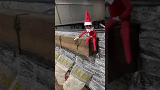 Jolly & The Stockings