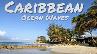 10 Minutes Of Beautiful Ocean Waves Crashing Against The White Sandy Beaches of Barbados 🇧🇧 | 360 4K