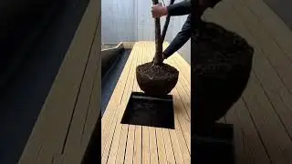 Minimal Japanese Sakura Courtyard | Single Tree, Water Mirror & Wood Deck 🧊🌸