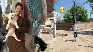 Dog Bagh Gya Ab By By 🐕