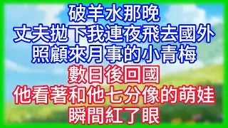 【爽文】破羊水那晚，丈夫拋下我，連夜飛去國外照顧來月事的小青梅，數日後回國，他看著和他七分像的萌娃瞬間紅了眼！