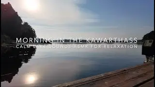 Summer Morning Lake Sounds in the Kawarthas 🌲 Lapping Water & Sunshine | Nature ASMR
