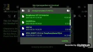 SFG2 SCRIPT v2 Added WallVision Hack & Color Hack