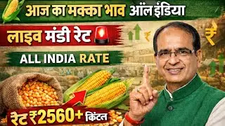 🚜 Makka Bhav Today 🌽 | All India Live Mandi Rate | Farmer Profit Strategy