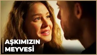 Kübra Bebeği Doğurmak için Yiğit'e YALVARDI! - Şeref Meselesi 6. Bölüm