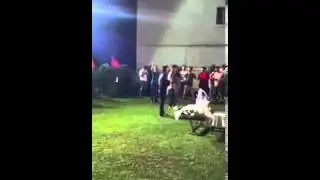 Ibrahim kasami lulja live tallava gostivar buci