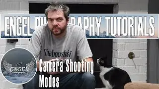 Camera Shooting Modes