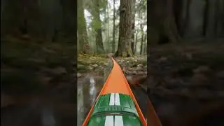 Hot Wheels Racing Through a Forest IV