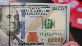MEME COIN MONEY COUNTER 🤑 SHIB, SAITAMA, AND MONONOKE