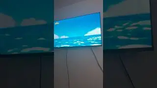 Me When TwirlyWoos Comes On