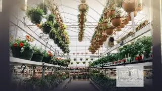 Chamber of Commerce Award Video