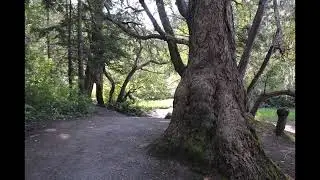 Trails to Witty Lagoon and Sitting Lady Falls