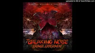 Breaking Noise - Bonjour