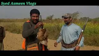 White and Black Partridge Hunting 2022 || Kalay aur Sufaid Teetar ka Shakar || Syed Asmeen Vlogs