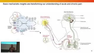 Seizing control over pain through scientific advancement - Rajesh Khanna, Ph.D.