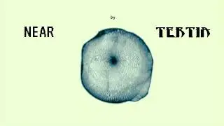 Tertia - NEAR (Official Visualiser)