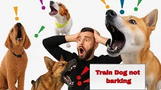 Train dog not barking