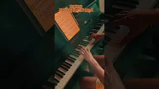 Brahms Fantasy op. 116