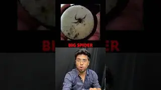 Strange Things Found In Food 😱🙄