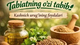 Kashnich urug'ining foydalarini bilarmidingiz? || Tabiatning o&lsquo;zi tabib || Mahalla radiokanali 