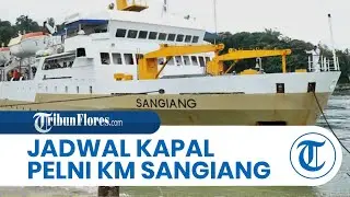 Jadwal Kapal Pelni KM Sangiang Bulan Mei 2025, Tiba Namlea Tanggal 14,19, Geser-FakFak Pulang Pergi