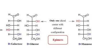 Enantiomers and Epimers Biochemistry