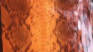 SKU:10069 NAME:python leather tanning rust orange