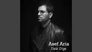 Dele Dige