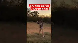 .577 Nitro express