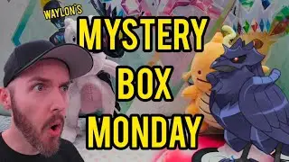 WHAT CAN WE GET OUT OF FIVE DOLLAR MYSTERY BOXES? - MYSTERY BOX MONDAY 17
