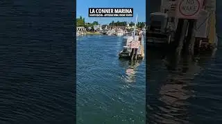 La Conner Marina - South Basin approach