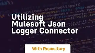 Utilizing mulesoft json logger connector