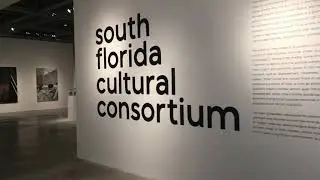 misael soto, Perimeter as Parameter, 2019, MOCA NOMI