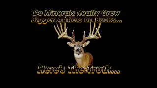 DO DEER MINERALS REALLY WORK ?