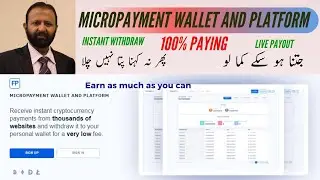 The Best Free Bitcoin Micro Wallet | Claim Btc Every 5 Minute |Earn Money Online |  FaucetPay.io