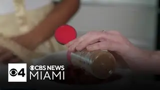 South Florida dietitian, fitness expert share healthier options for Thanksgiving dinner